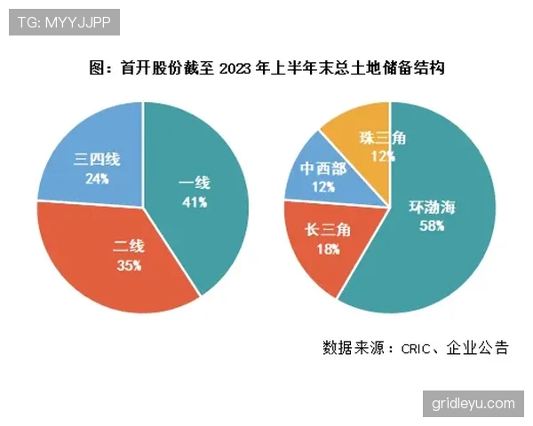 罗德里为何评价两极分化 核心分歧成因深度解析