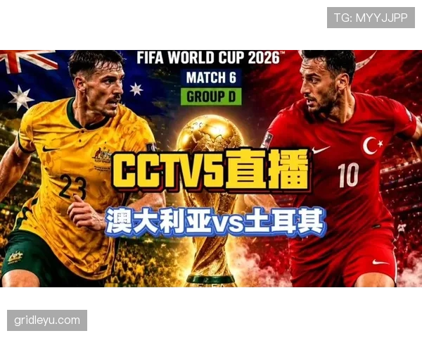 世界杯D组末轮双赛结果：土耳其取胜，澳大利亚守平