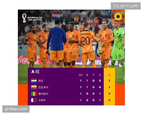 世界杯B组出局球队回顾：卡塔尔1分结束小组赛